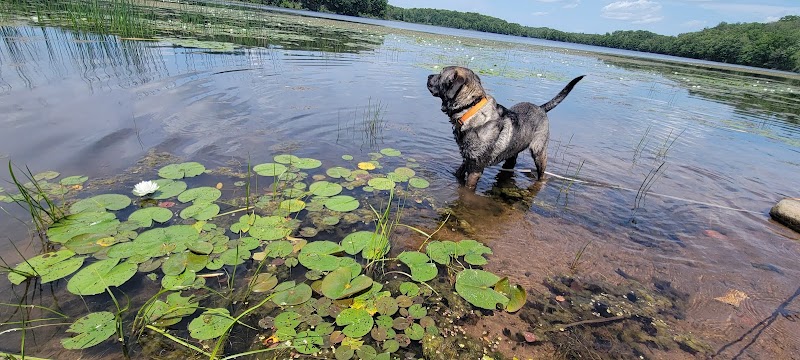 Drummond Community Park - Drummond, WI