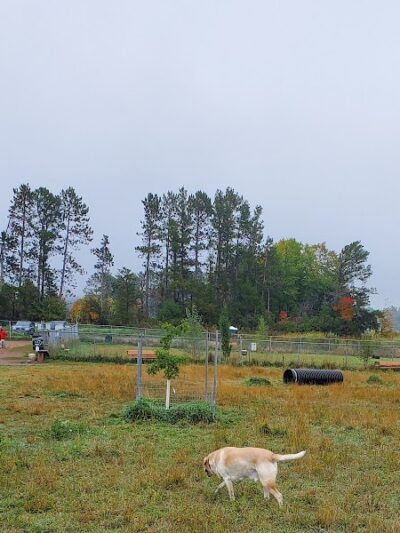 Jean Duluth Dog Park - Duluth, MN