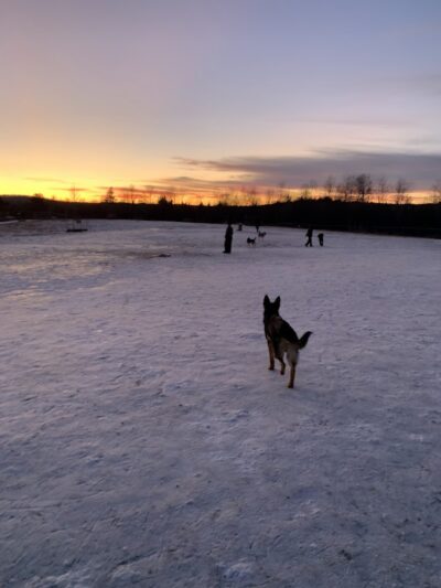Jean Duluth Dog Park - Duluth, MN
