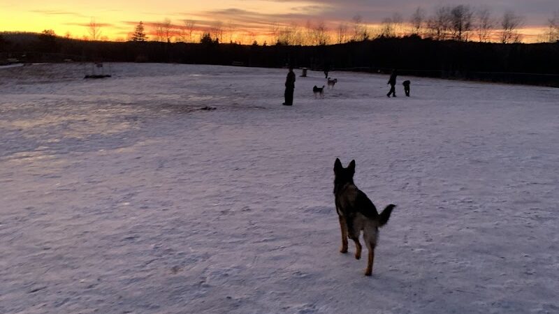 Jean Duluth Dog Park - Duluth, MN