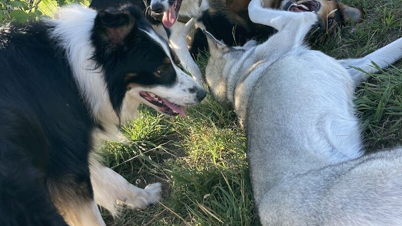 Jean Duluth Dog Park - Duluth, MN