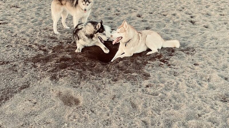 Jean Duluth Dog Park - Duluth, MN