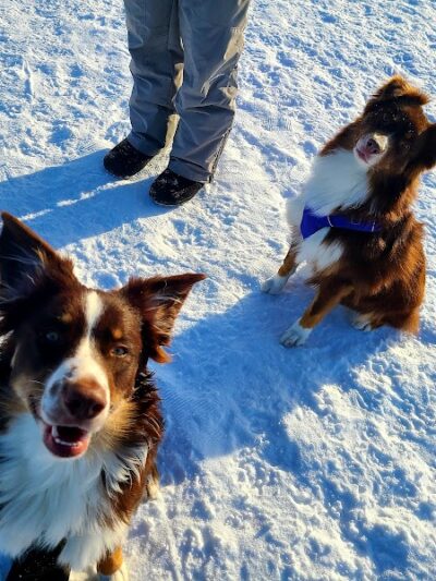 Jean Duluth Dog Park - Duluth, MN