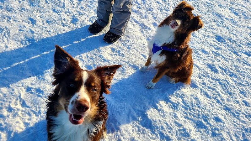 Jean Duluth Dog Park - Duluth, MN