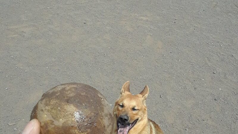 Keene Creek Dog Park - Duluth, MN