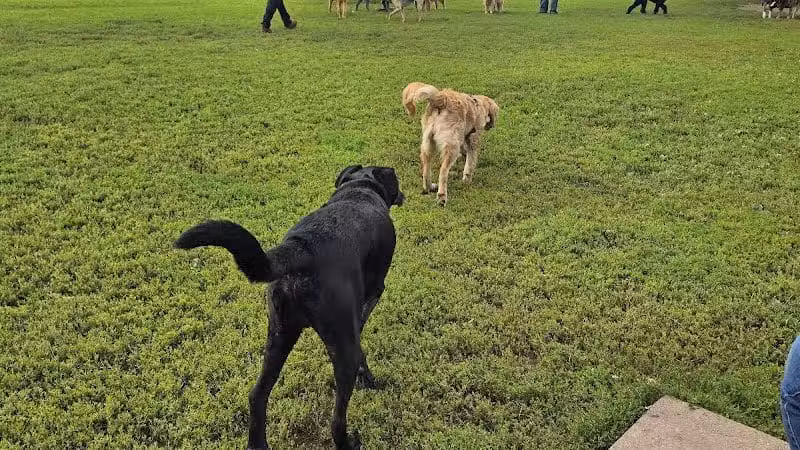 Keene Creek Dog Park - Duluth, MN