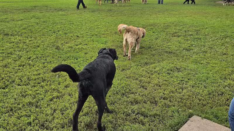 Keene Creek Dog Park - Duluth, MN
