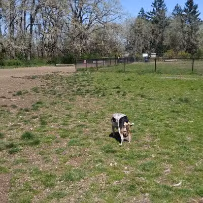 Dupont Powderworks Park, Off-Leash Dog Park - DuPont, WA