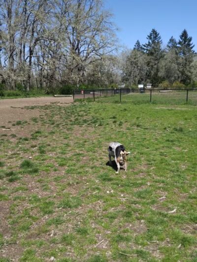 Dupont Powderworks Park, Off-Leash Dog Park - DuPont, WA