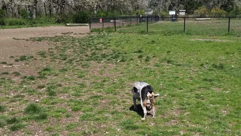 Dupont Powderworks Park, Off-Leash Dog Park - DuPont, WA