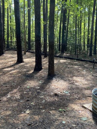Rock Quarry Dog Park - Durham, NC