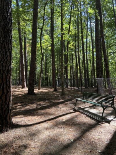 Rock Quarry Dog Park - Durham, NC
