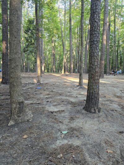 Rock Quarry Dog Park - Durham, NC