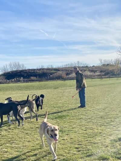 Dyer Dog Park - Dyer, IN