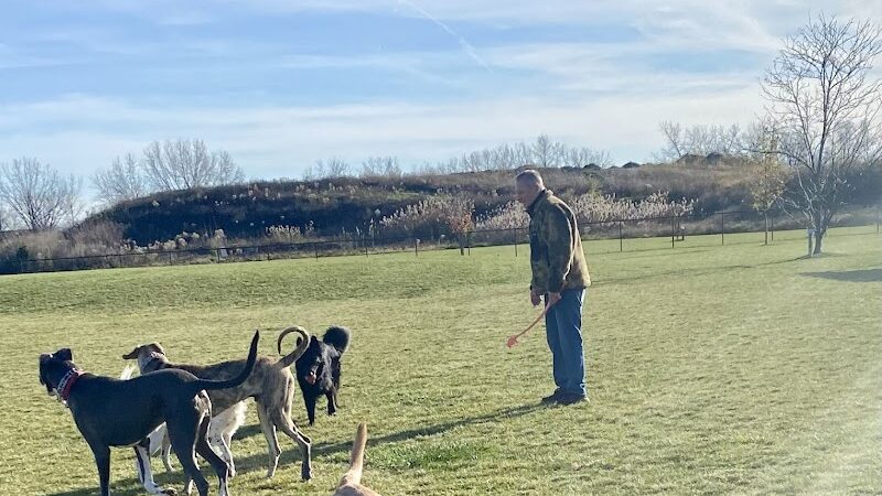 Dyer Dog Park - Dyer, IN