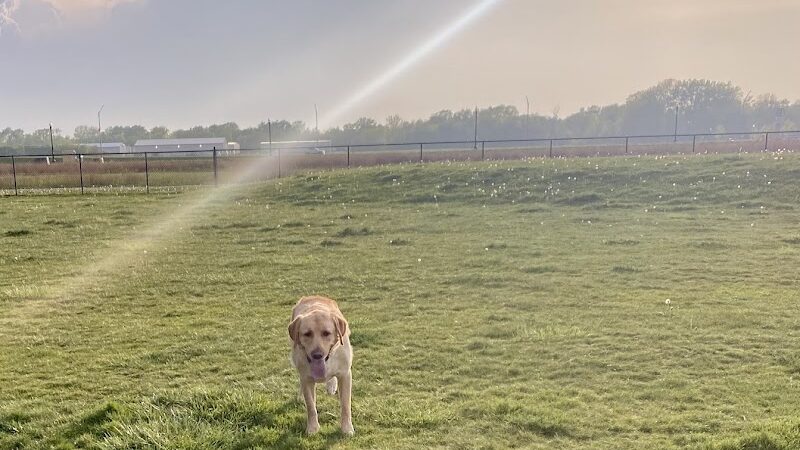 Dyer Dog Park - Dyer, IN