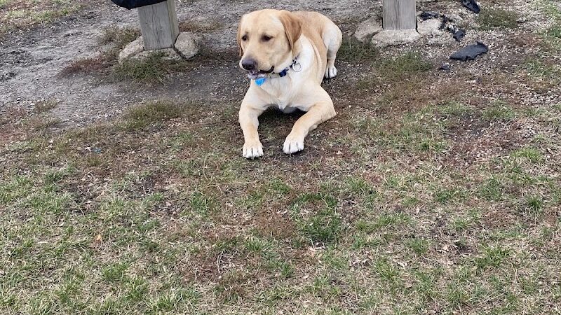 Dyer Dog Park - Dyer, IN