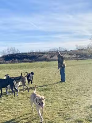 Dyer Dog Park - Dyer, IN