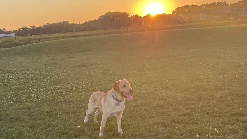 Dyer Dog Park - Dyer, IN