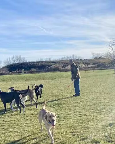 Dyer Dog Park - Dyer, IN