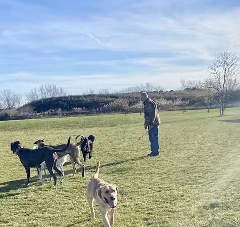 Dyer Dog Park - Dyer, IN