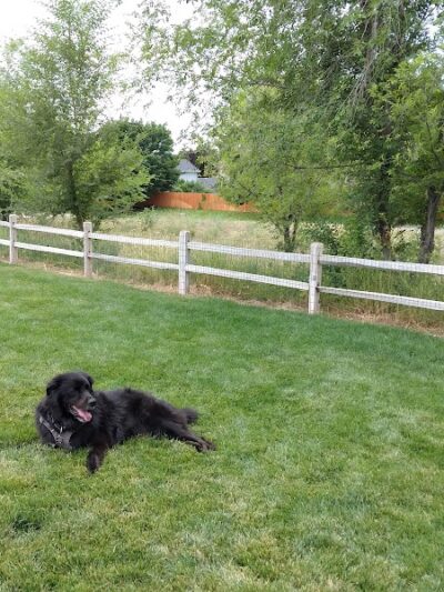 Eagle Small Dog Park