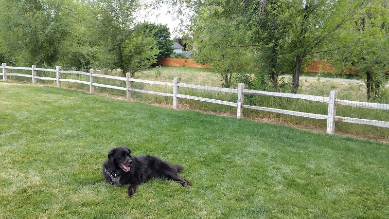 Eagle Small Dog Park