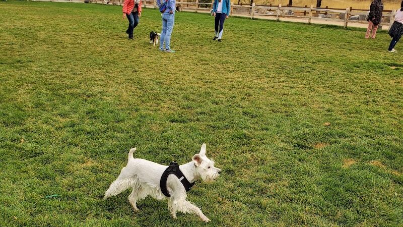 Eagle Small Dog Park