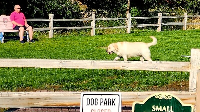 Eagle Small Dog Park