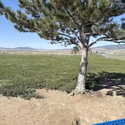 Eagle Mountain Dog Park - Eagle Mountain, UT