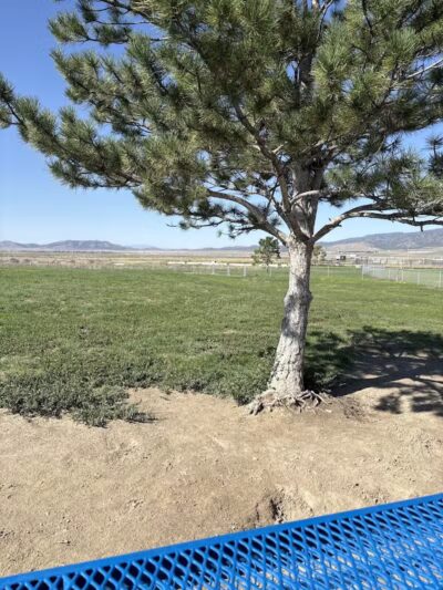 Eagle Mountain Dog Park - Eagle Mountain, UT