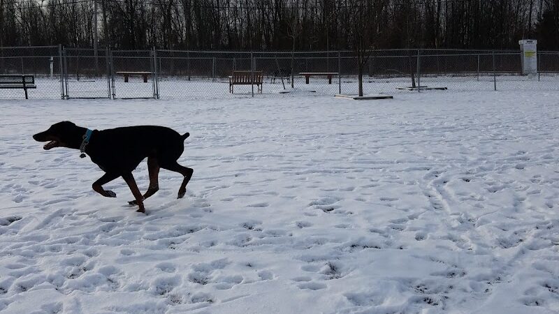 Smith Road Paw Park - East Amherst, NY