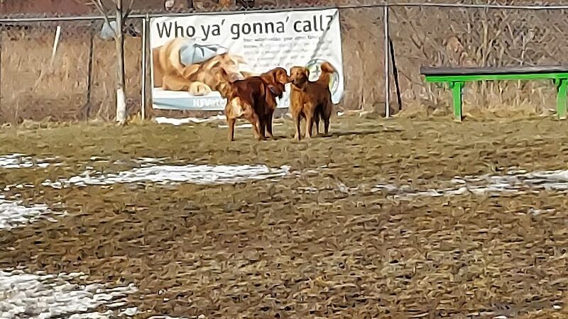 Smith Road Paw Park - East Amherst, NY