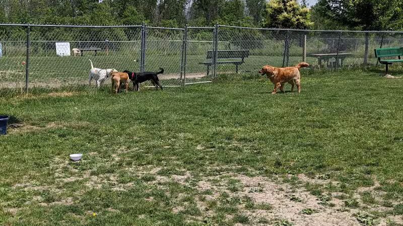 Smith Road Paw Park - East Amherst, NY