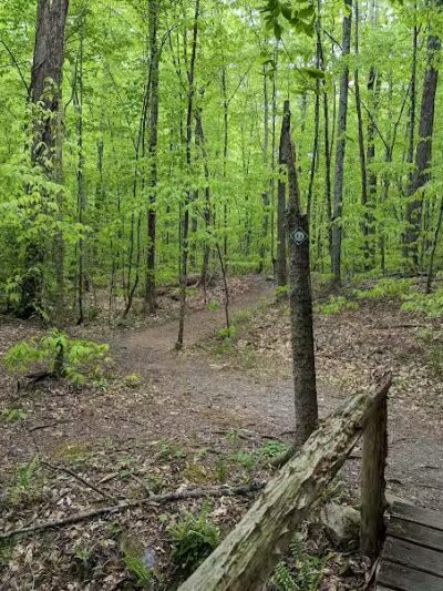 Hand Hollow - East Chatham, NY