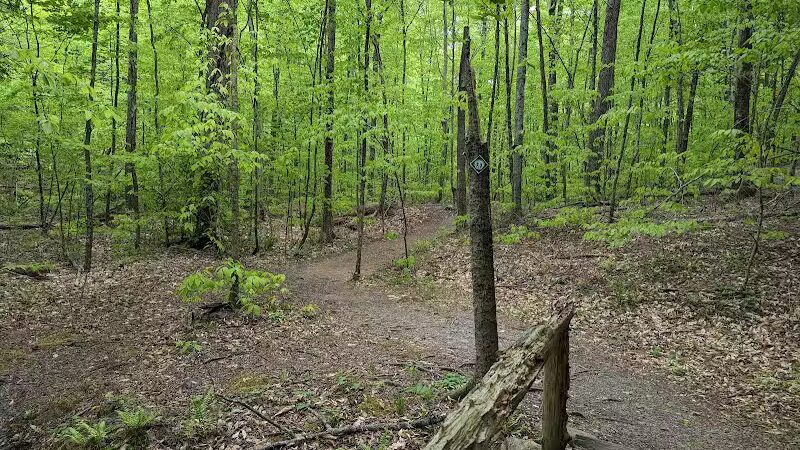 Hand Hollow - East Chatham, NY