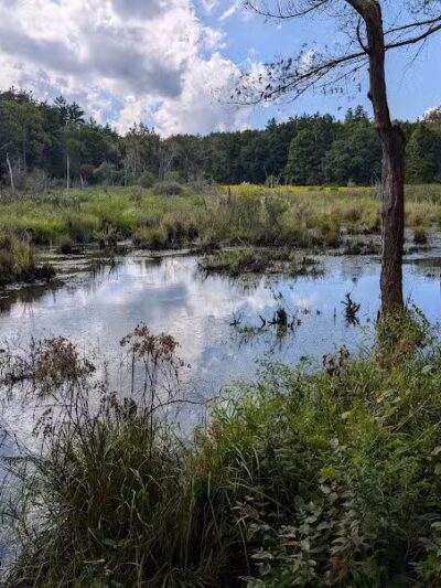 Hand Hollow - East Chatham, NY