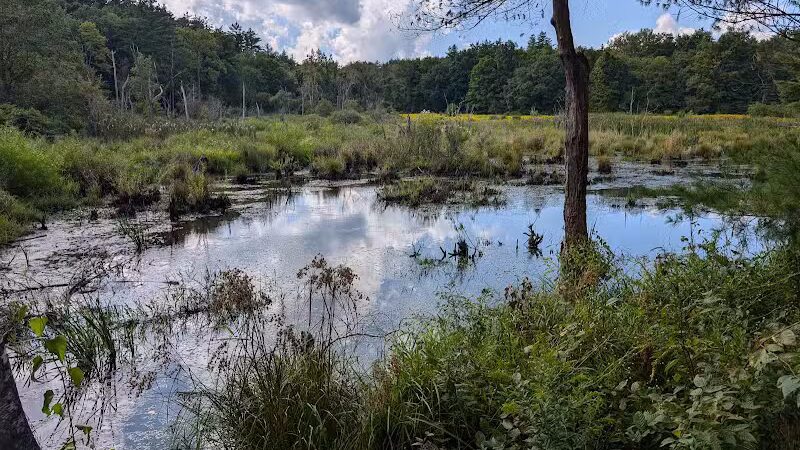 Hand Hollow - East Chatham, NY