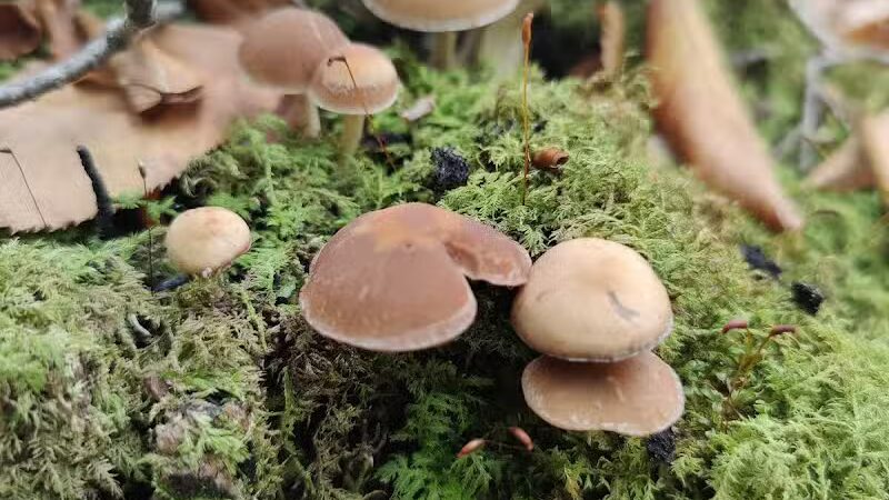 Hand Hollow - East Chatham, NY