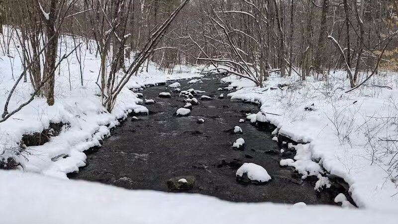 Hand Hollow - East Chatham, NY