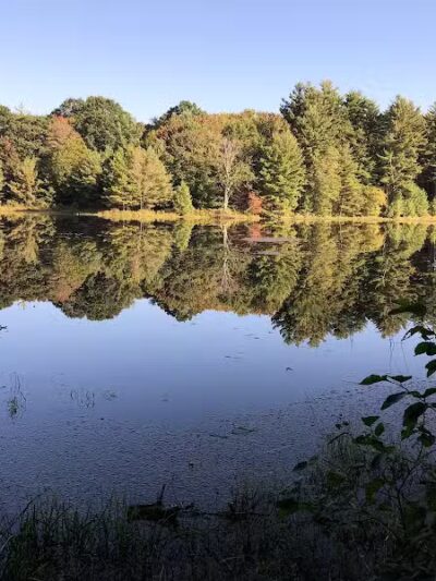 Hand Hollow - East Chatham, NY