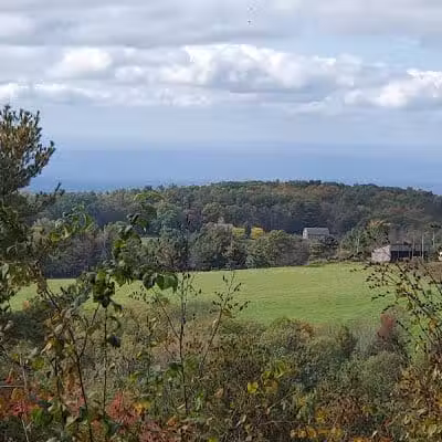Schor - East Chatham, NY