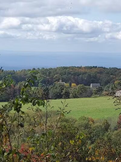 Schor - East Chatham, NY