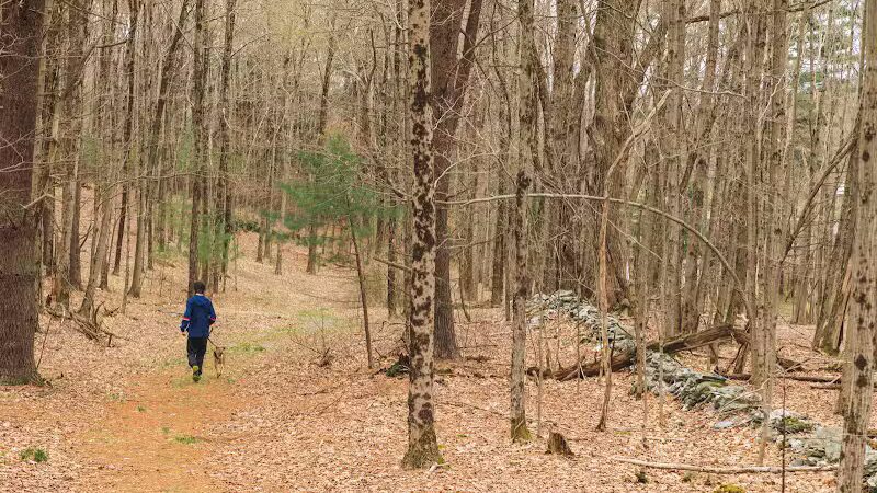 Schor - East Chatham, NY