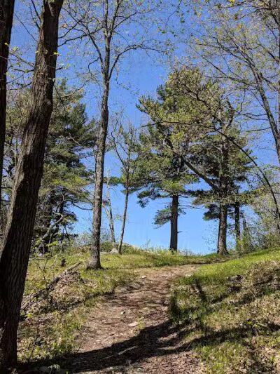 Schor - East Chatham, NY