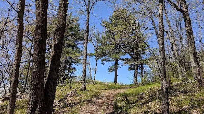 Schor - East Chatham, NY