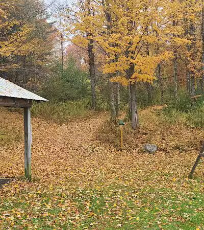 Schor - East Chatham, NY