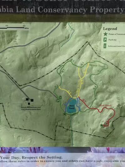 Schor - East Chatham, NY