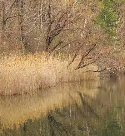 Schor - East Chatham, NY