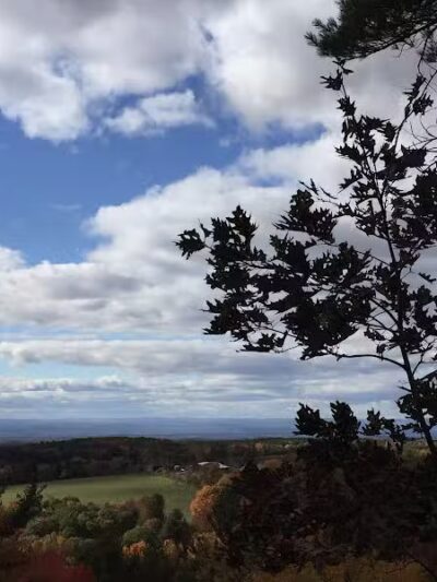 Schor - East Chatham, NY